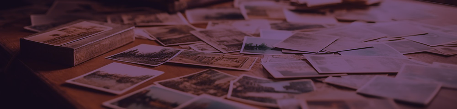 Fondos y colecciones