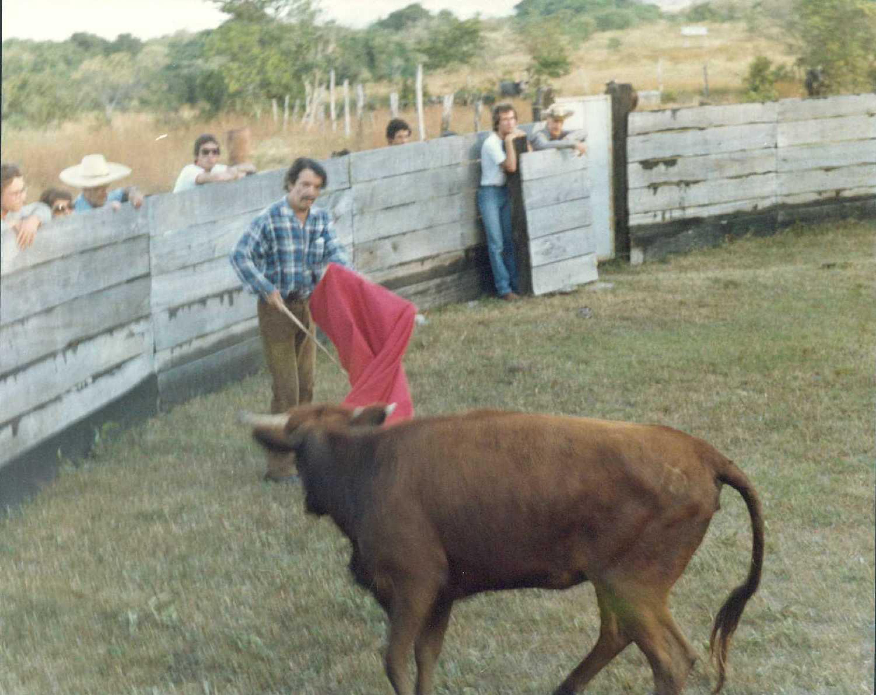 Mario Laserna toreando con capote rojo